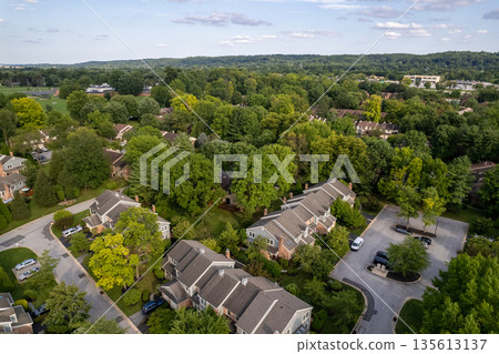 A view of a residential area with houses and trees. Chesterbrook, Pensilvania. USA 135613137