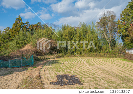 奈良縣飛鳥村的冬稻田 135613297