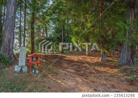 The forest where the legendary grave of Lady Otomo (mother of Fujiwara Kamatari) is located in Asuka Village, Nara Prefecture The forest where the legendary grave of Lady Otomo (mother of Fujiwara Kamatari) is located in Asuka Village, Nara Prefecture 135613298