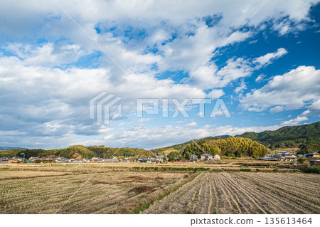 奈良縣飛鳥村的冬季鄉村景色 135613464