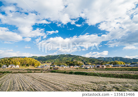 奈良縣飛鳥村的冬季鄉村景色 135613466