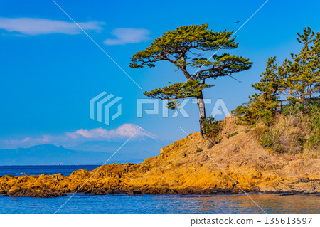 （神奈川縣）從立石公園遠眺富士山 135613597