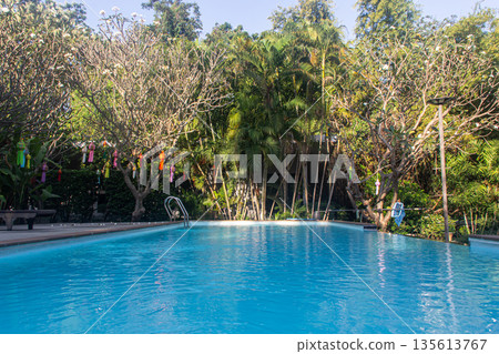 Swimming pool with sun loungers and trees on background Swimming pool with sun loungers and trees on background 135613767