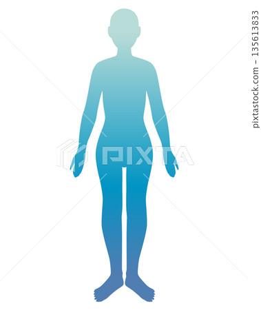 漸變人體插圖(女性,藍色) 漸變人體插圖(女性,藍色) 135613833