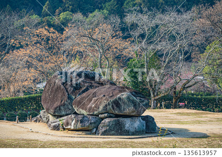 奈良縣石階古墓明日香村 135613957