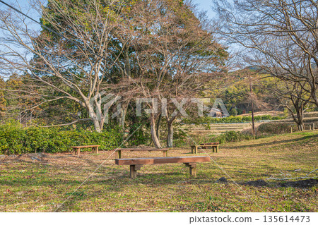 從奈良縣飛鳥村石舞台墓園展望台眺望 135614473