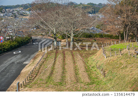 View from the Ishibutai Tomb Observatory, Asuka Village, Nara Prefecture 135614479