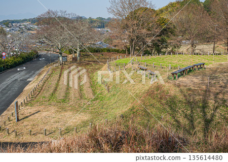 View from the Ishibutai Tomb Observatory, Asuka Village, Nara Prefecture 135614480