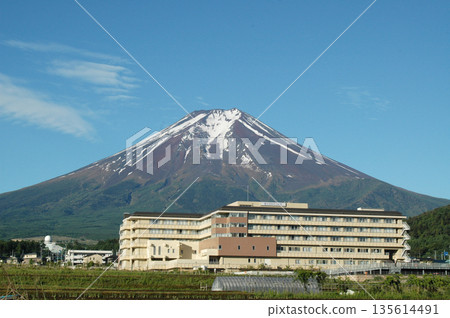 Mount Fuji, seen from behind Fujiyoshida Municipal Hospital, with its deep green base and the white snow remaining on its ultramarine surface, clearly visible under the blue early summer sky. Mount Fuji, seen from behind Fujiyoshida Municipal Hospital, with its deep green base and the white snow remaining on its ultramarine surface, clearly visible under the blue early summer sky. 135614491