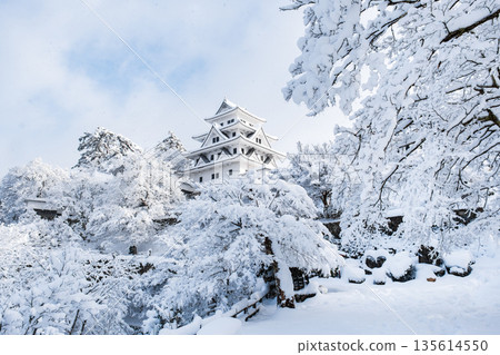 Gujo Hachiman Castle in the snow 135614550