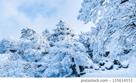 雪中的郡上八幡城 135614551