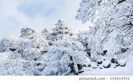 Gujo Hachiman Castle in the snow Gujo Hachiman Castle in the snow 135614552