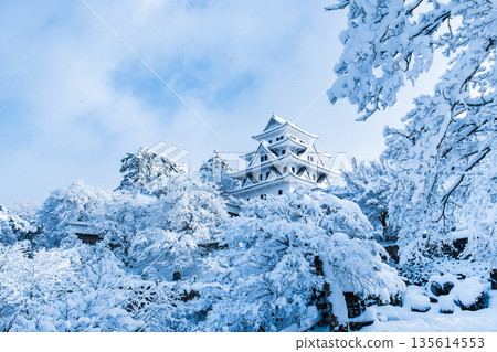 雪中的郡上八幡城 雪中的郡上八幡城 135614553