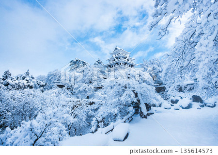 雪中的郡上八幡城 135614573