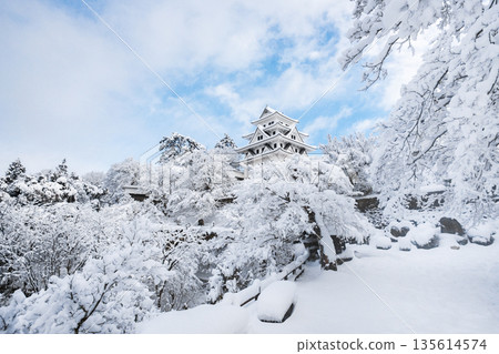 雪中的郡上八幡城 135614574