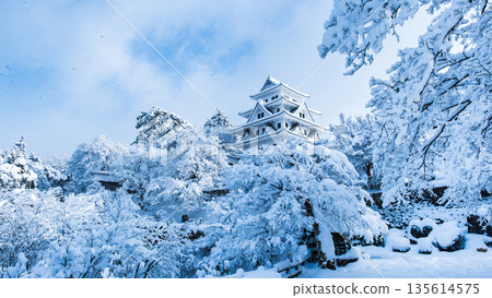 雪中的郡上八幡城 雪中的郡上八幡城 135614575