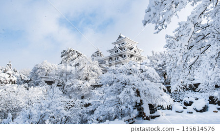 雪中的郡上八幡城 雪中的郡上八幡城 135614576