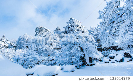 雪中的郡上八幡城 135614579