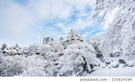 雪中的郡上八幡城 雪中的郡上八幡城 135614584