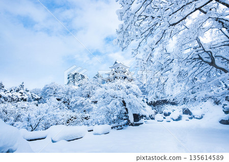 雪中的郡上八幡城 135614589