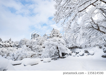雪中的郡上八幡城 雪中的郡上八幡城 135614590