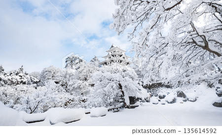 雪中的郡上八幡城 135614592