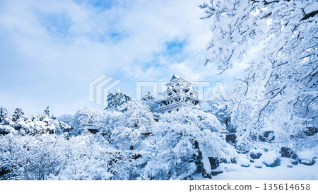 雪中的郡上八幡城 135614658