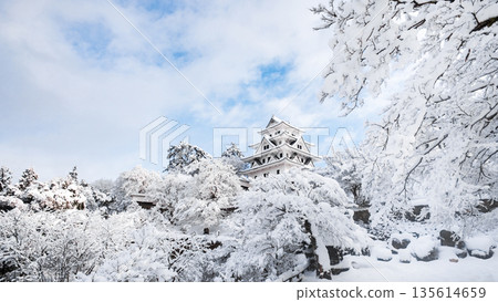 雪中的郡上八幡城 135614659