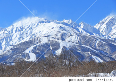 白馬村八方根滑雪場 135614839