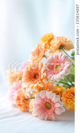 維生素橙色花朵背景素材 | 明亮的春夏非洲菊和萬壽菊圖片 維生素橙色花朵背景素材 | 明亮的春夏非洲菊和萬壽菊圖片 135614897