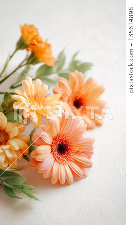 維生素橙色花朵背景素材 | 明亮的春夏非洲菊和萬壽菊圖片 維生素橙色花朵背景素材 | 明亮的春夏非洲菊和萬壽菊圖片 135614898