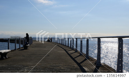 Kemigawahama North Pier, Mihama Ward, Chiba City 135614997