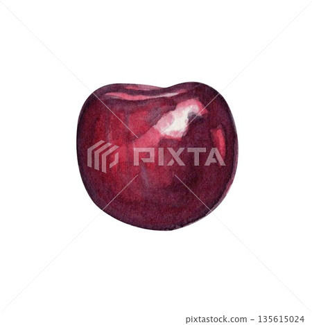 Single cherry isolated on white background, hand-painted watercolor illustration. Realistic texture, fruit element for food packaging, labels, branding, patterns, nutrition concepts, summer design Single cherry isolated on white background, hand-painted watercolor illustration. Realistic texture, fruit element for food packaging, labels, branding, patterns, nutrition concepts, summer design 135615024