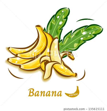 香蕉普普藝術材料 | 清新可愛的水果向量插圖 135615111