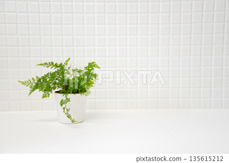 Houseplants in a white tiled room Houseplants in a white tiled room 135615212