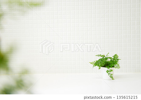 Stylish houseplants and blurred background material 135615215
