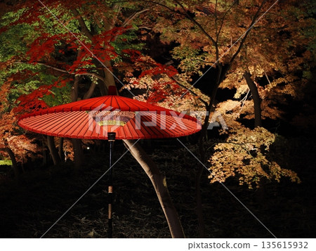 Red Japanese umbrella among autumn leaves Red Japanese umbrella among autumn leaves 135615932