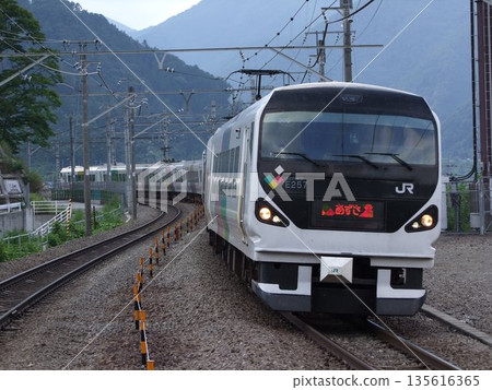 [Nostalgic Railway] Chuo Line 135616365