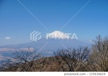 View of the winter trees of Mount Marudake on the outer rim of Hakone and the snow-capped Mount Fuji 135616629