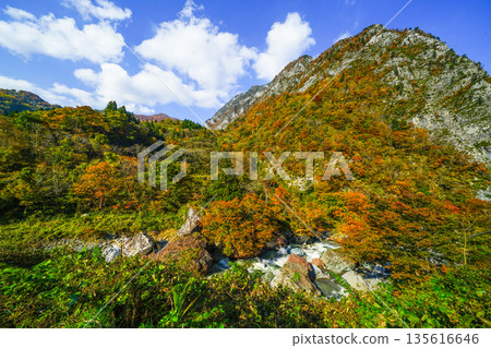 Kotakigawa Jade Gorge (Itoigawa City) Kotakigawa Jade Gorge (Itoigawa City) 135616646