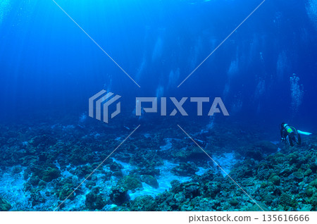 Blue sea and divers, Palauan sea, diving scene 135616666