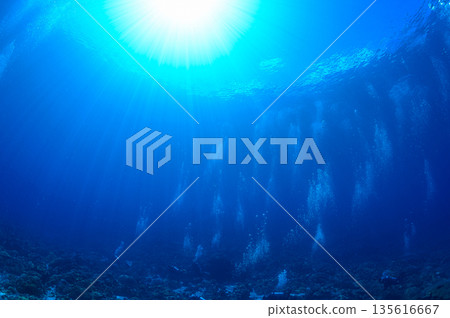 藍色的海和潛水員，帛琉海域，潛水場景 135616667
