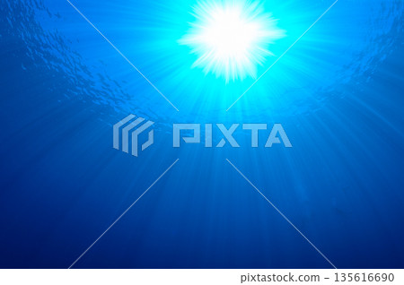 蔚藍的海與耀眼的光芒－帛琉海域的潛水景象 135616690