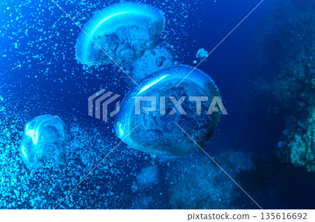 潛水員的呼吸 潛水場景 135616692