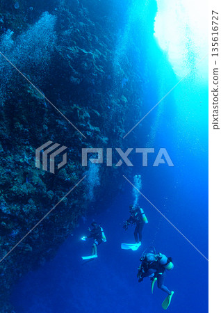 藍色的海和潛水員,帛琉海域,潛水場景 藍色的海和潛水員,帛琉海域,潛水場景 135616727