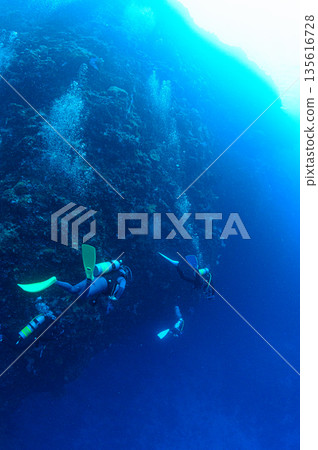 藍色的海和潛水員，帛琉海域，潛水場景 135616728
