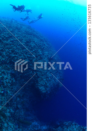Blue sea and divers, Palauan sea, diving scene Blue sea and divers, Palauan sea, diving scene 135616735