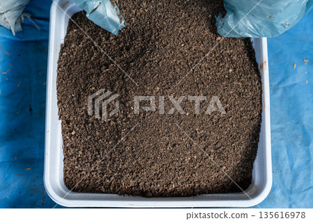 Dry cow dung prepare in a plastic tray. Cow dung is an excellent organic fertilizer that provides essential nutrients, improves soil structure, and increases water retention. 135616978