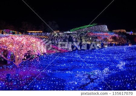 曼達公園照明 135617070