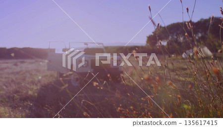 Showing white open-top 4x4 sitting among swaying grasses and orange wildflower seed heads in meadow Showing white open-top 4x4 sitting among swaying grasses and orange wildflower seed heads in meadow 135617415